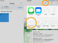 Sur iPad, dans l'application Dropbox, appuyez sur le bouton de partage puis sur "Copier le lien".